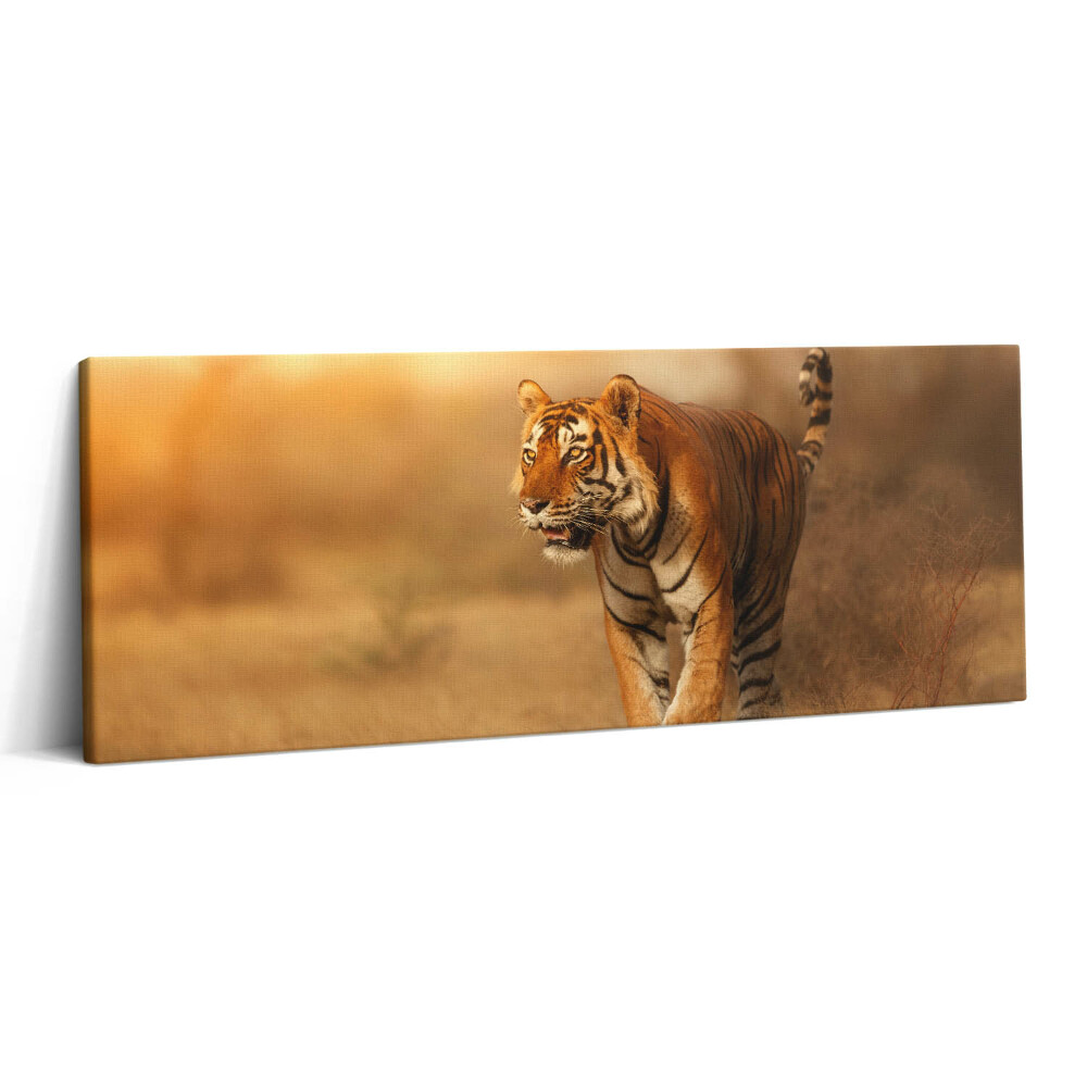 Canvas kép 125x50 Vad tigris vadászaton