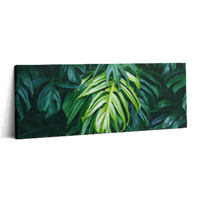 Canvas kép 125x50 Trópusi természet - monstera levelek