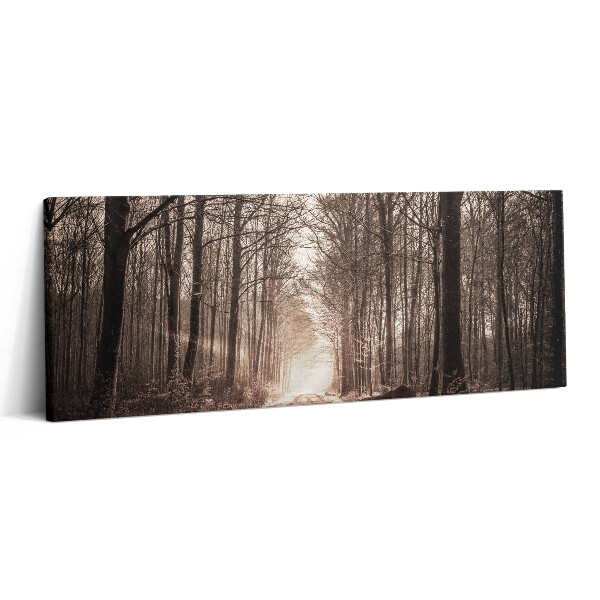 Canvas kép 125x50 Erdei ösvény szepia színekben