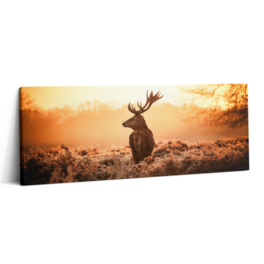 Canvas kép 125x50 Szarvasok napfelkeltekor