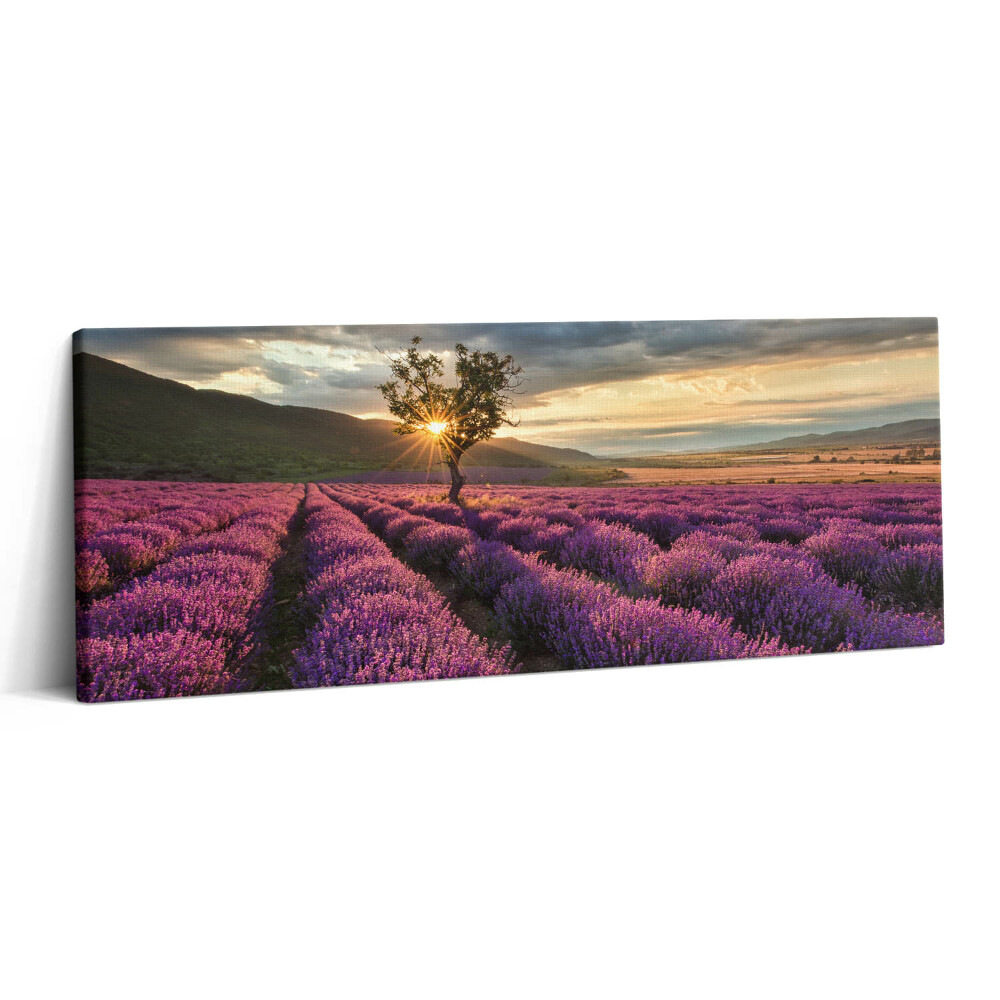 Canvas kép 125x50 Levendulamezős tájkép