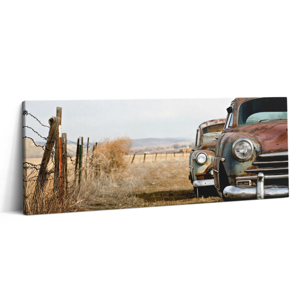 Canvas kép 125x50 Régi elhagyott autók