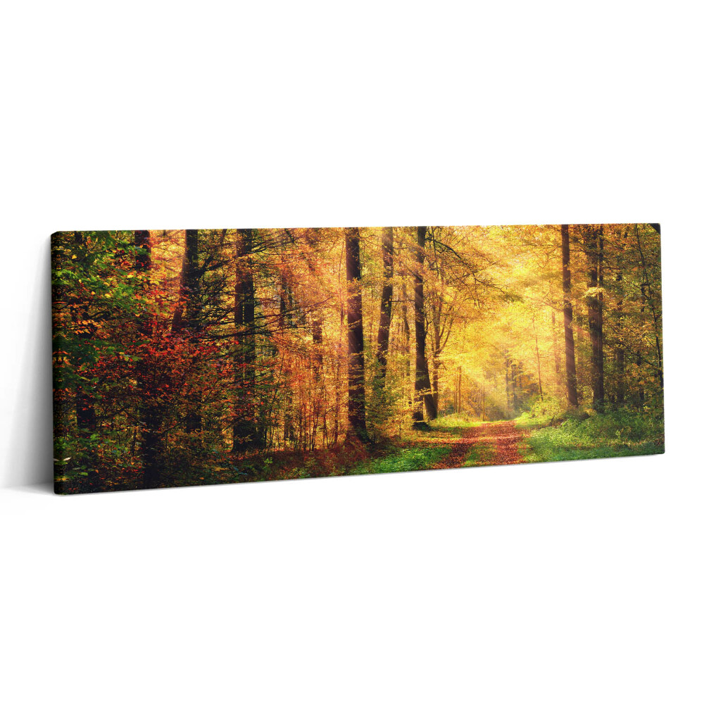 Canvas kép 125x50 Őszi erdei tájkép