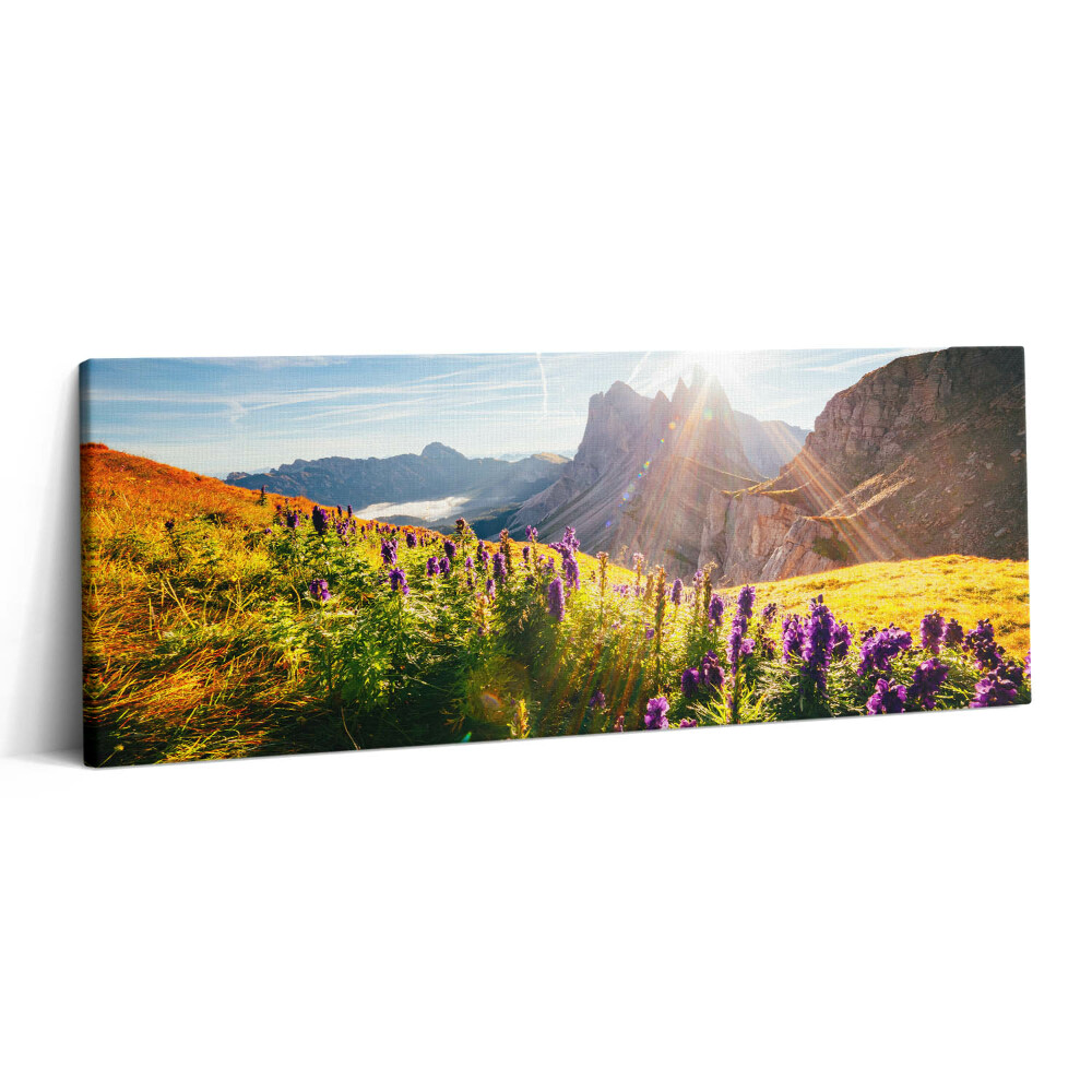 Canvas kép 125x50 Levendula rét