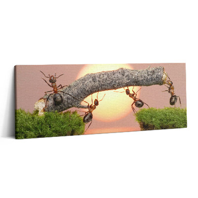 Canvas kép 125x50 Hangyák egy fatörzsön