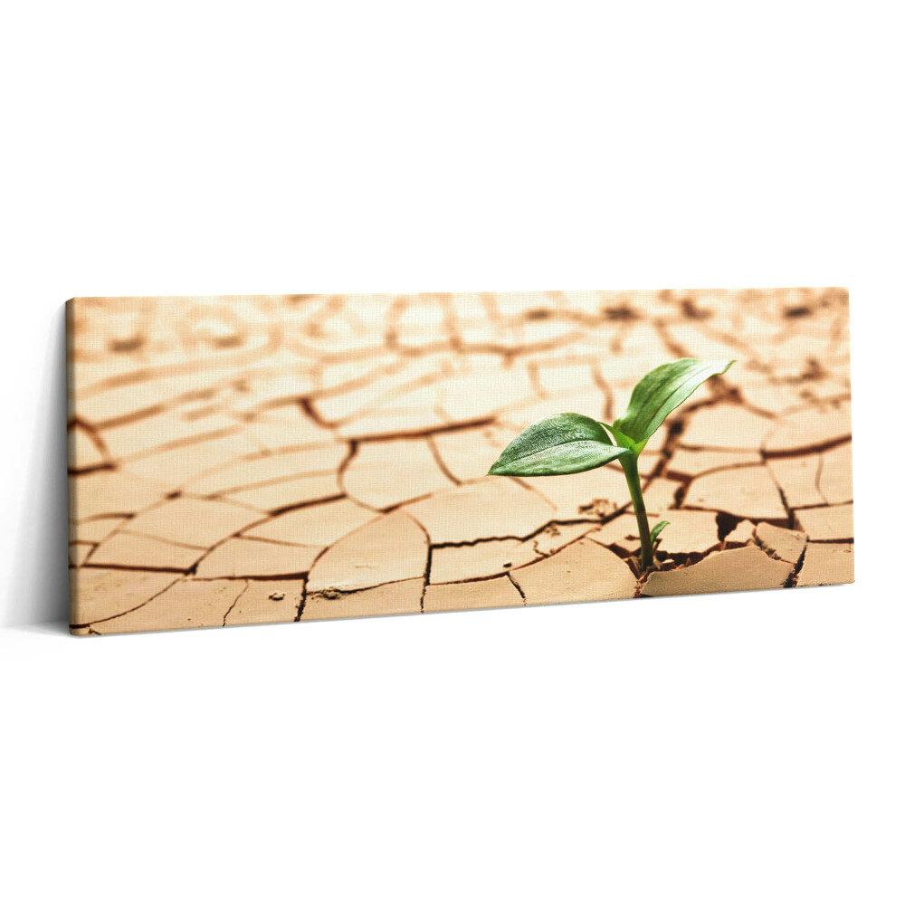 Canvas kép 125x50 Ültetés száraz talajban