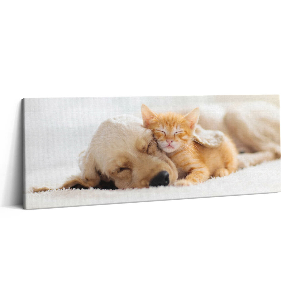 Canvas kép 125x50 Alvó állatok macska és kutya