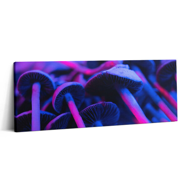 Canvas kép 125x50 Színes varázsgomba