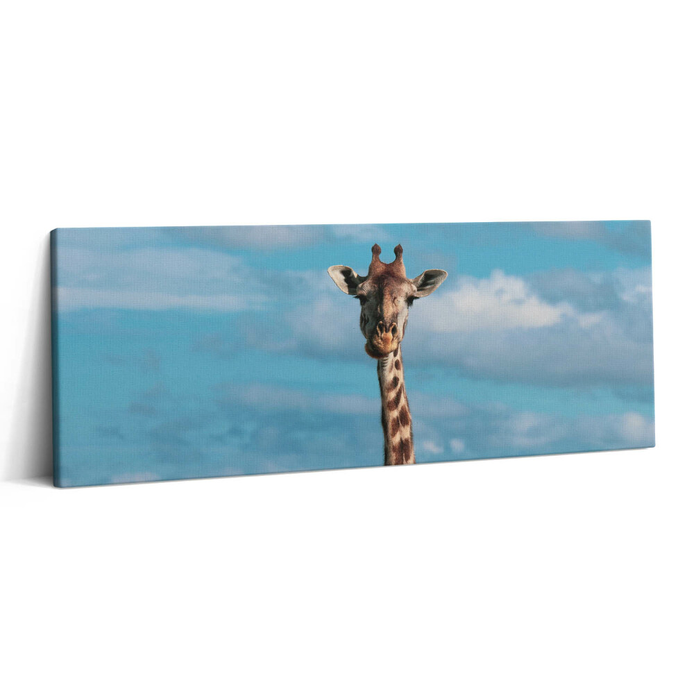 Canvas kép 125x50 Zsiráffej az égen