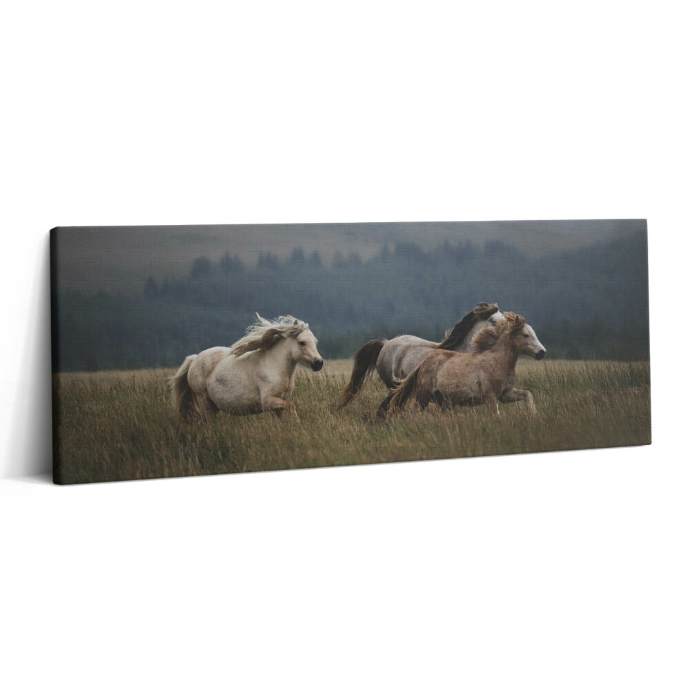 Canvas kép 125x50 Lovak galoppoznak felfelé