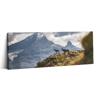 Canvas kép 125x50 Kecskék és az olaszországi Aosta-völgy