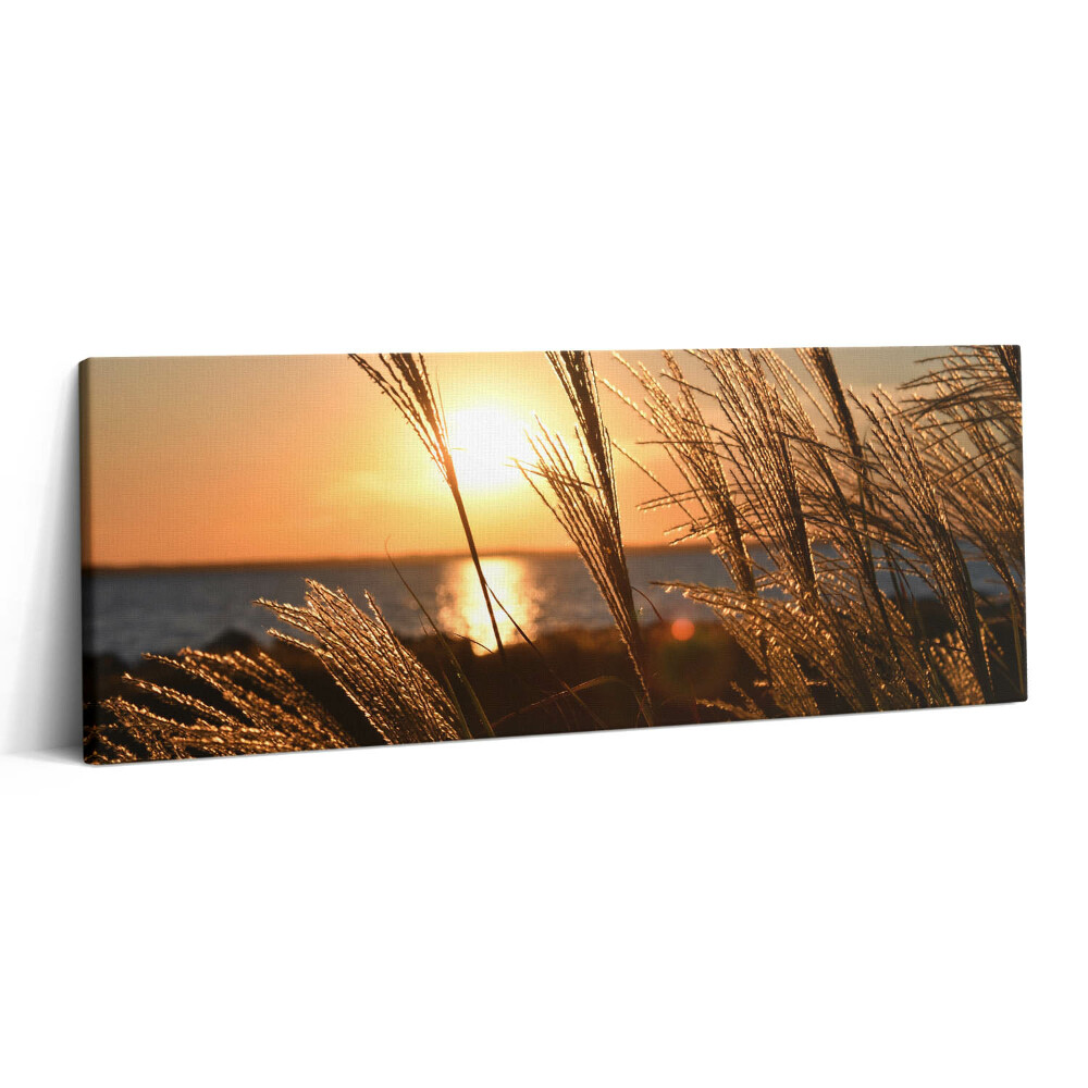 Canvas kép 125x50 Búza az arany órában