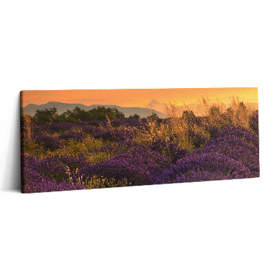 Canvas kép 125x50 Levendula rét Provence Franciaország