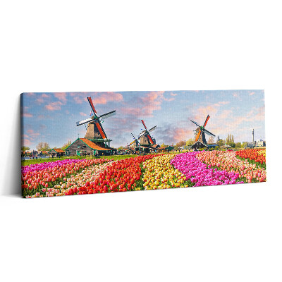 Canvas kép 125x50 Tájkép tulipánokkal Hollandia