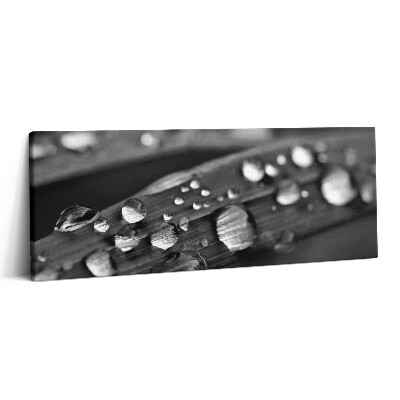 Canvas kép 125x50 Rózsalevél Fekete-fehér