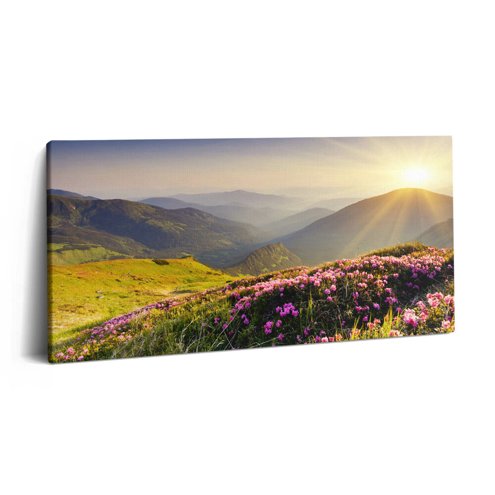 Vászonkép 140x70 Hegyek és egy virágos rét