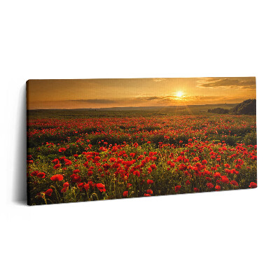 Vászonkép 140x70 Tájkép egy tisztáson pipacsokkal