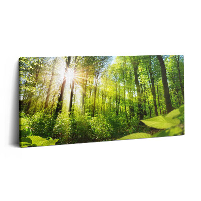 Vászonkép 140x70 Napsütés az erdőben