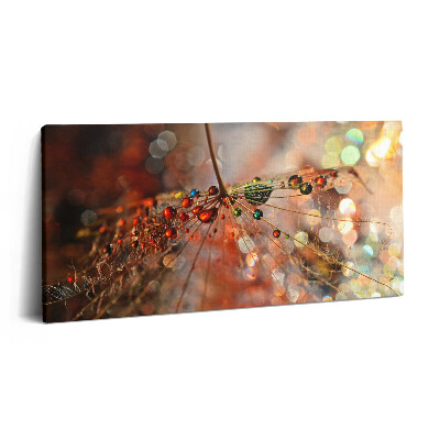 Vászonkép 140x70 Pitypang és harmat