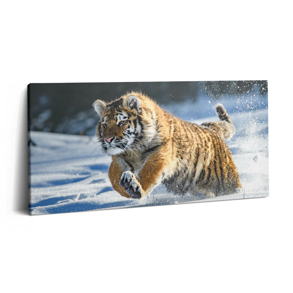 Vászonkép 140x70 Bolyhos tigris a hóban