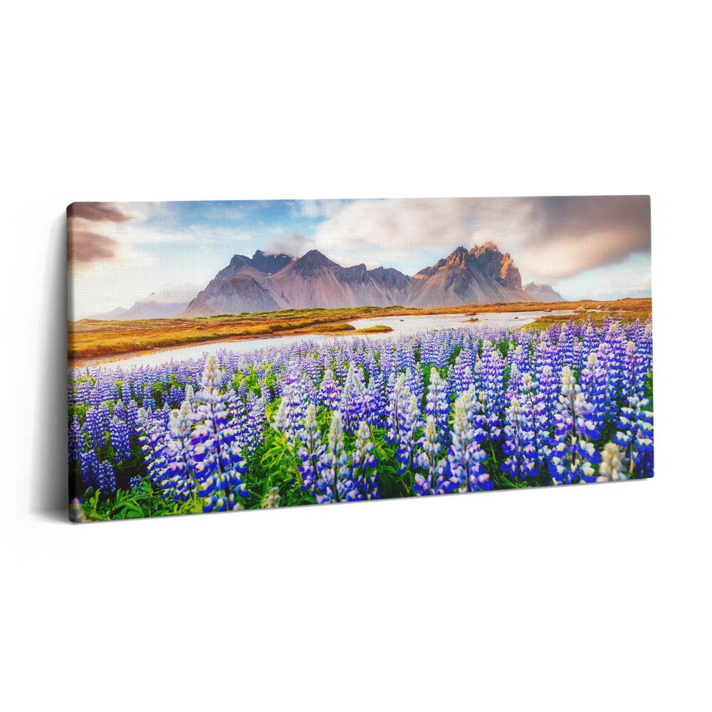 Vászonkép 140x70 Varázslatos csillagfürt virágok