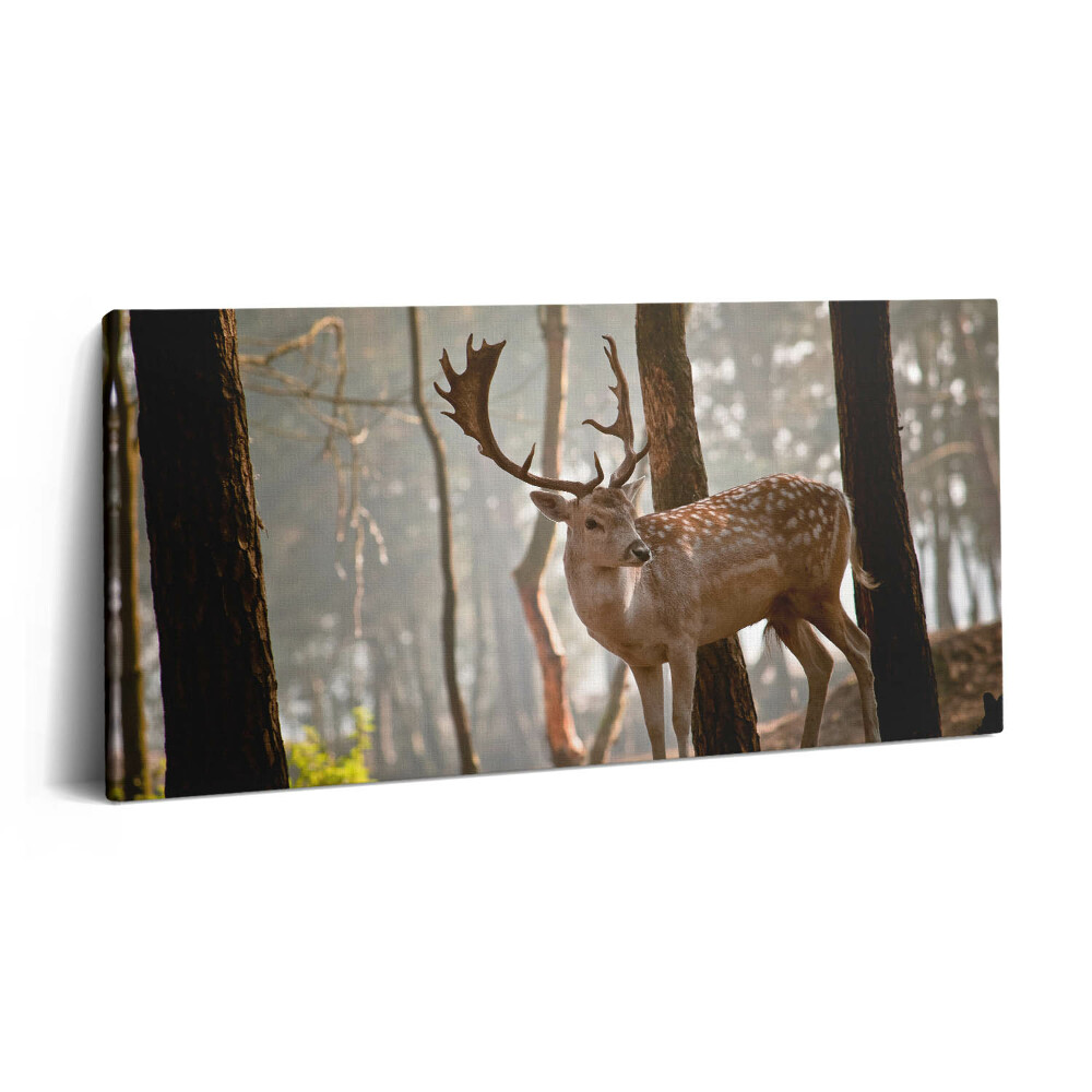 Vászonkép 140x70 Szarvas a felkelő nap fényében