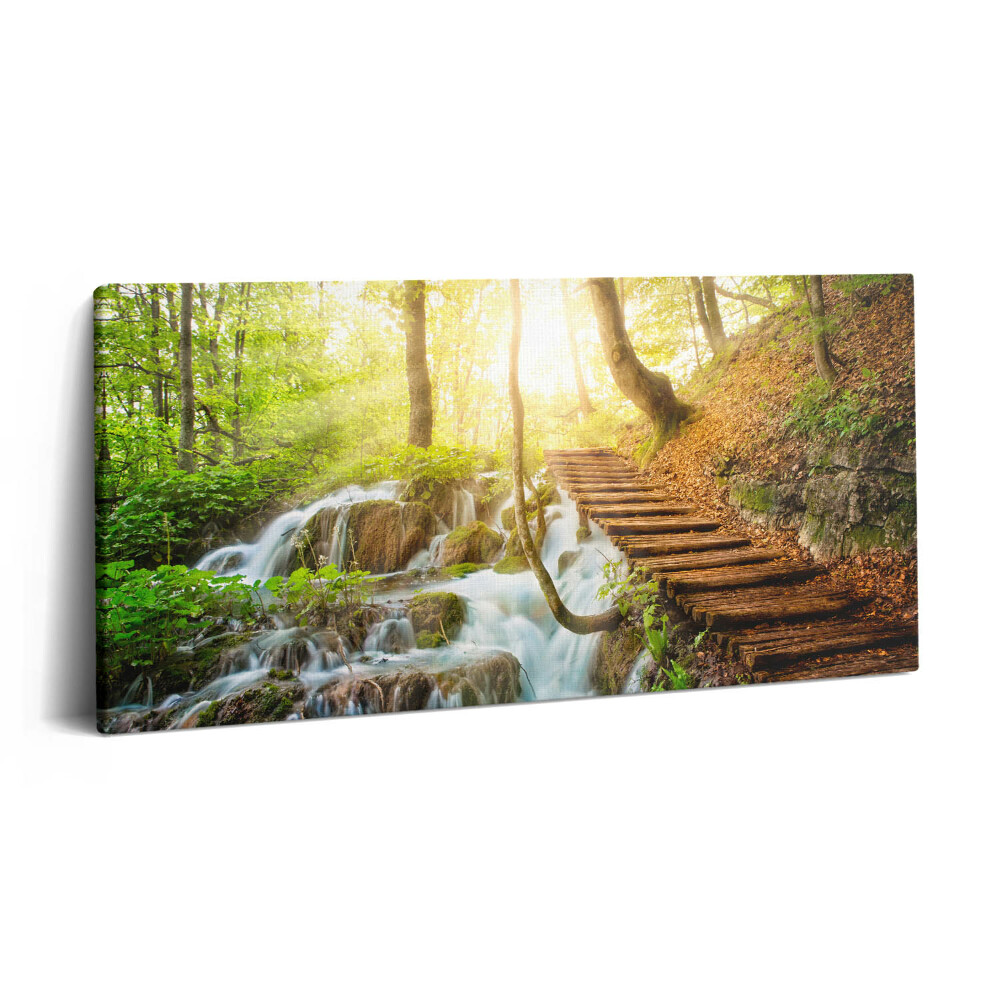 Vászonkép 140x70 Patak és lépcső az erdőben