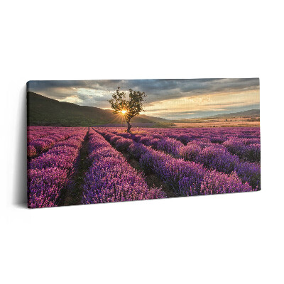 Vászonkép 140x70 Levendulamezős tájkép