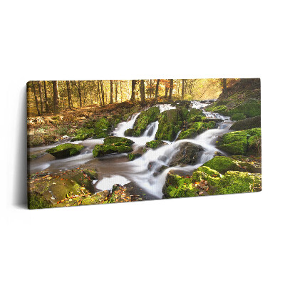 Vászonkép 140x70 Patak az őszi erdőben
