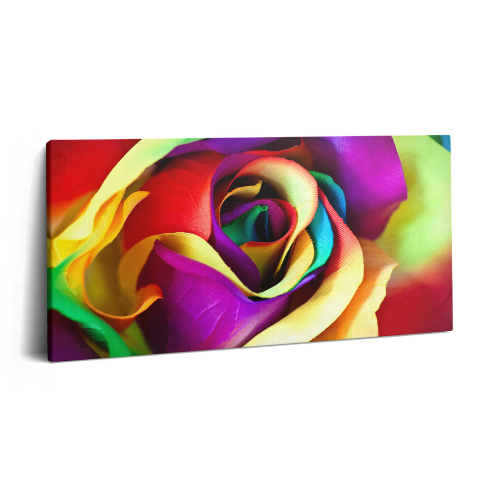 Vászonkép 140x70 Szivárványos rózsa