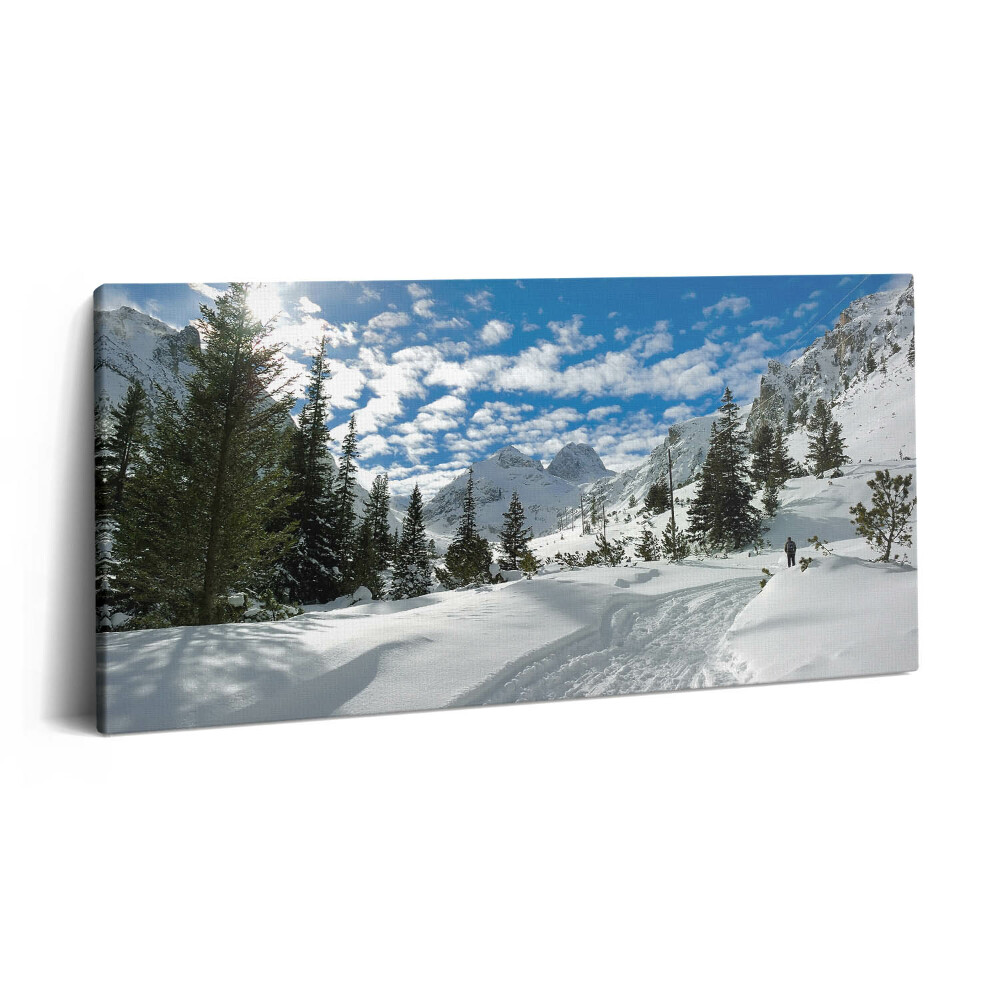 Vászonkép 140x70 Hegyvidéki táj télen