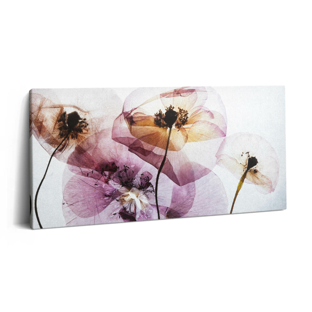 Vászonkép 140x70 Szárított mákvirágok