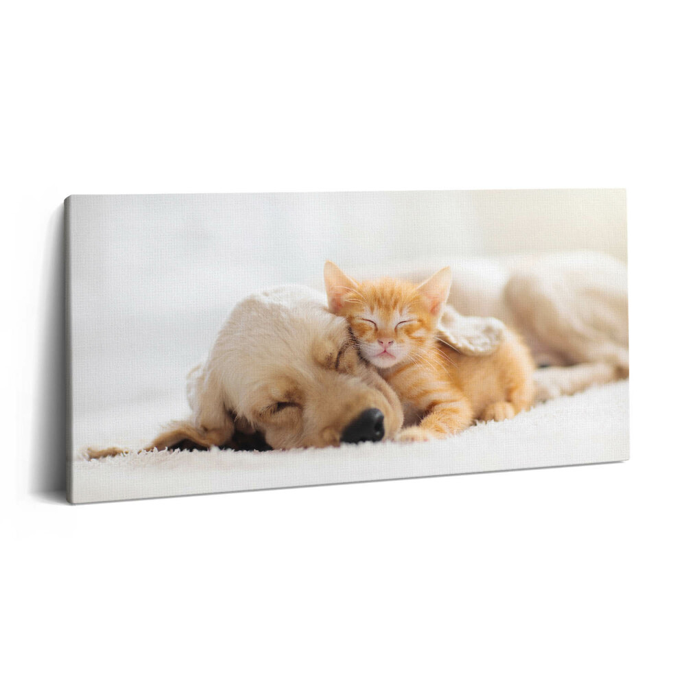 Vászonkép 140x70 Alvó állatok macska és kutya