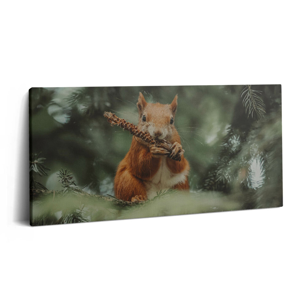 Vászonkép 140x70 Vadon élő mókus