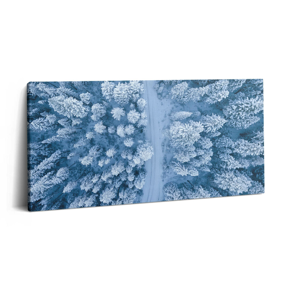 Vászonkép 140x70 Az erdő madártávlatból. Drónok