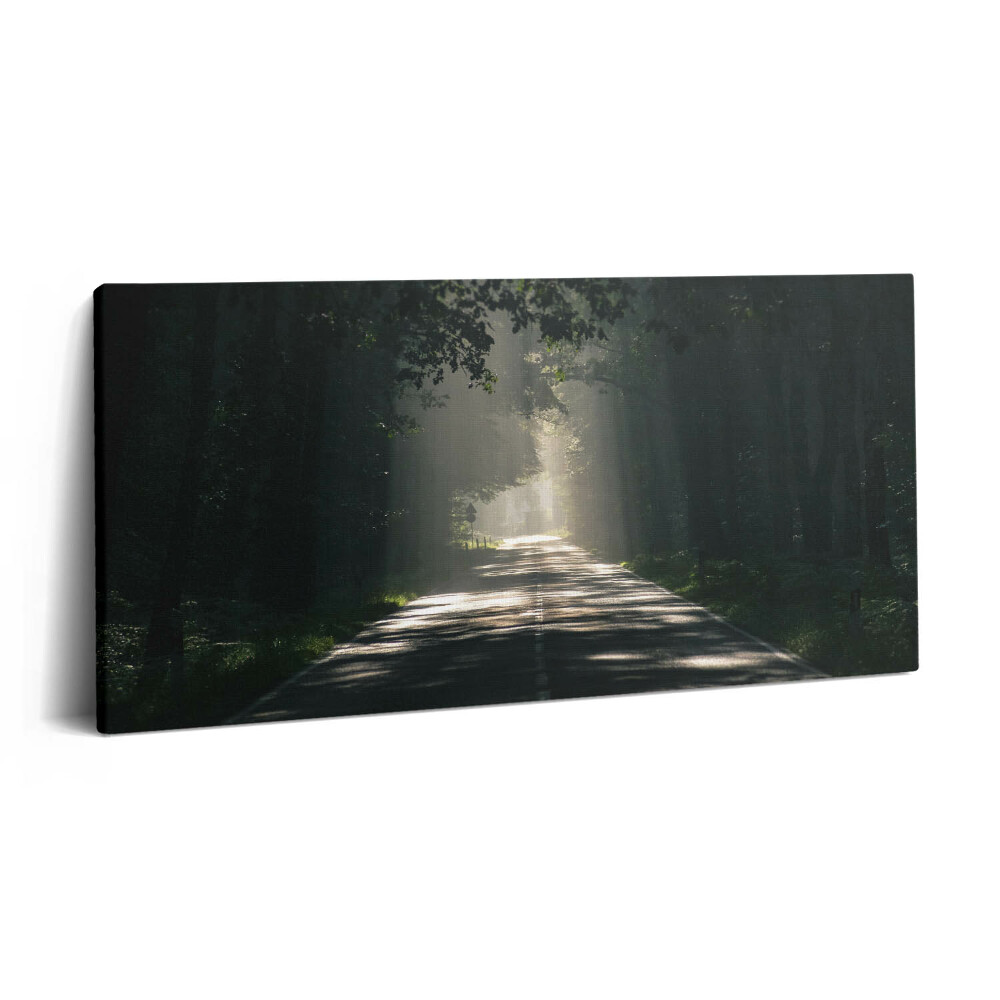 Vászonkép 140x70 Erdei út és napfénycsíkok