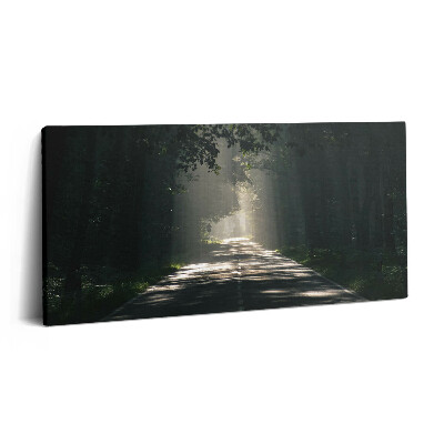 Vászonkép 140x70 Erdei út és napfénycsíkok