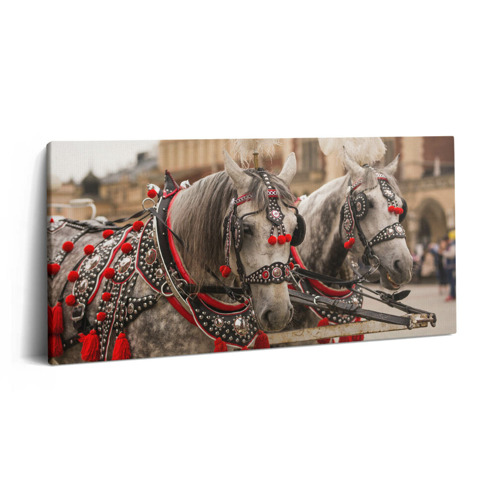 Vászonkép 140x70 Gyönyörű lovak Krakkóban