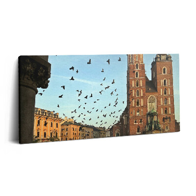Vászonkép 140x70 Galambok Krakkó városában