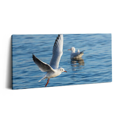 Vászonkép 140x70 Sirályok Gdyniában