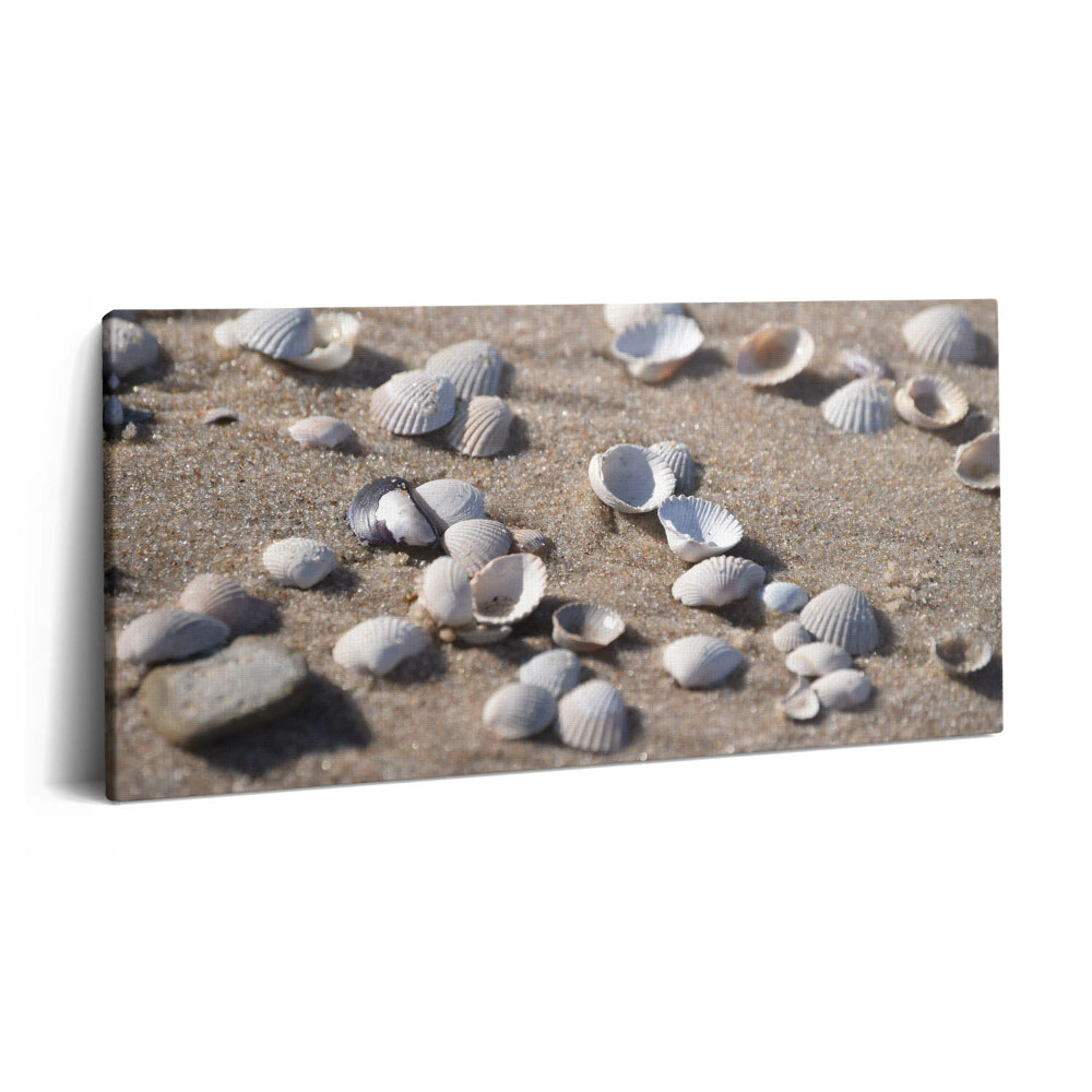Vászonkép 140x70 Kagylók a tengerparton
