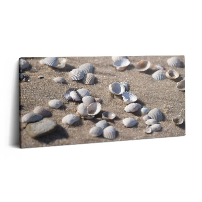 Vászonkép 140x70 Kagylók a tengerparton