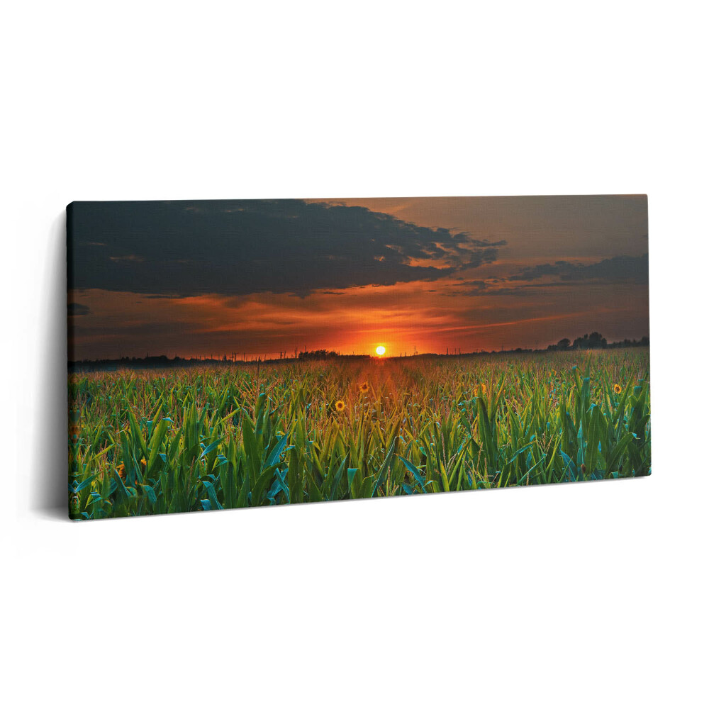 Vászonkép 140x70 Napraforgó a réten