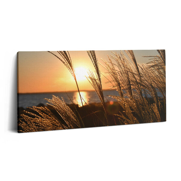 Vászonkép 140x70 Búza az arany órában