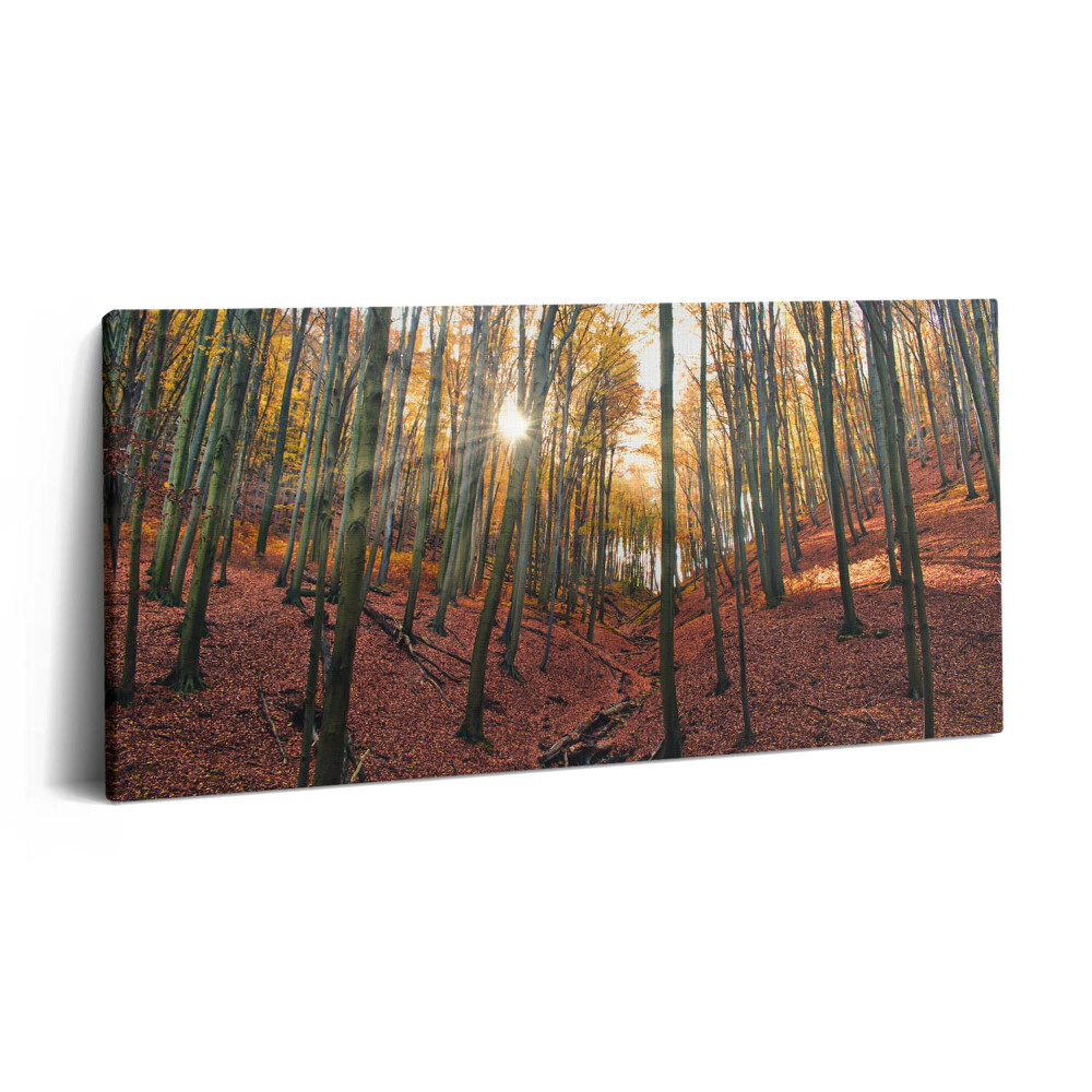 Vászonkép 140x70 Naplemente és fák