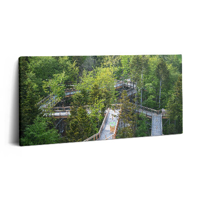 Vászonkép 140x70 Ösvény Krynica Zdrojban