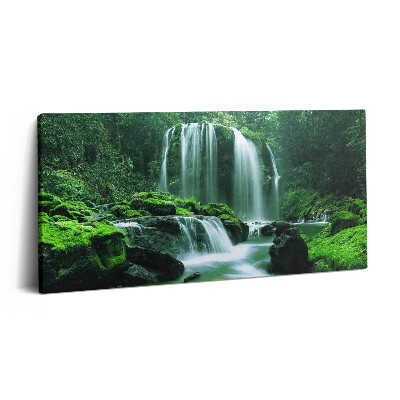 Vászonkép 140x70 Vízesés mohák között