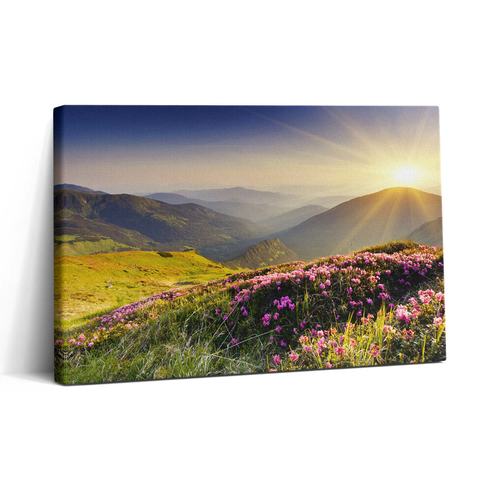 Vászonkép nyomtatás 30x20 Hegyek és egy virágos rét