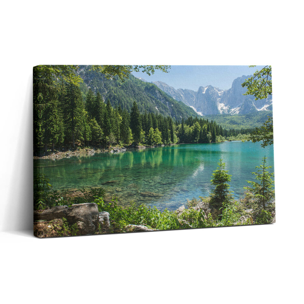 Vászonkép nyomtatás 30x20 Hegyi táj egy tó az erdőben