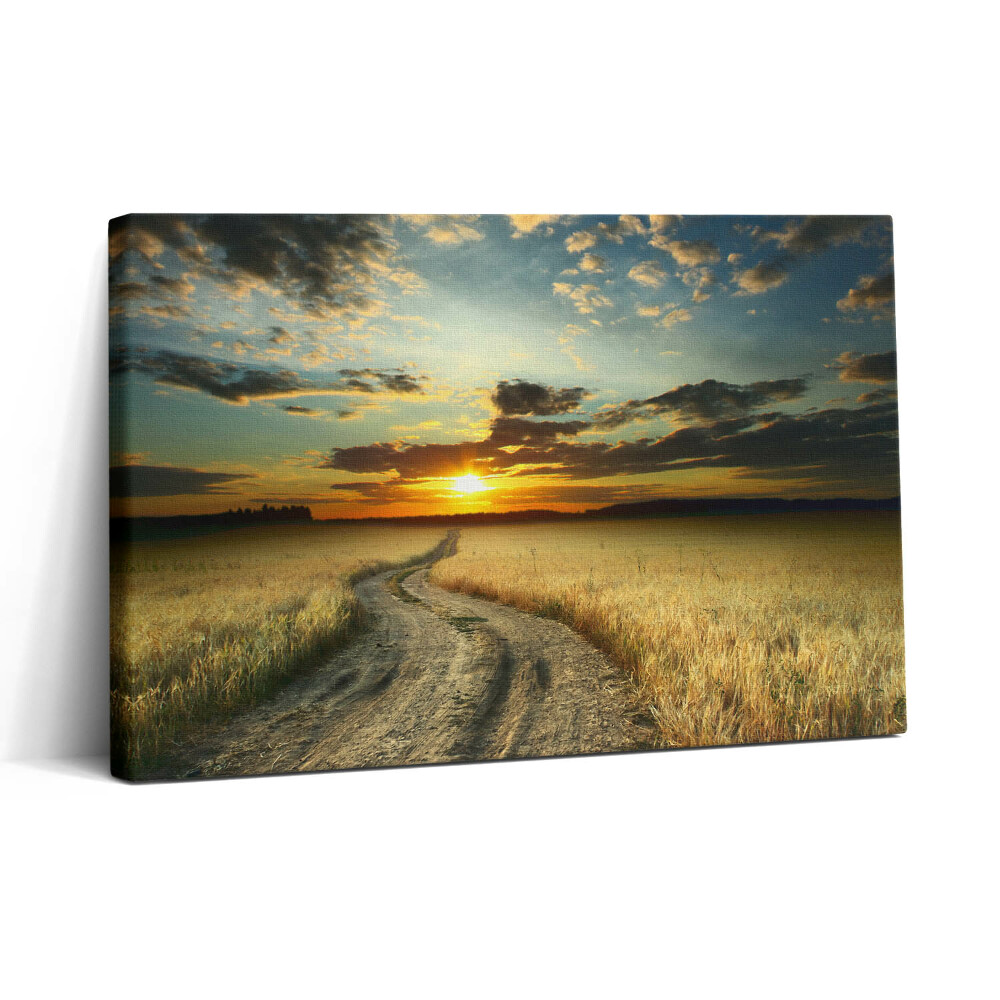 Vászonkép nyomtatás 30x20 Földút és naplemente